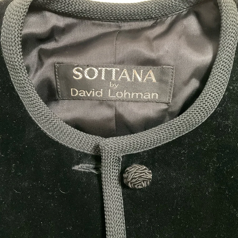 Vintage Sottana David Lohman Womens Sophisticated Velvet Blazer SZ 4 Whimsigoth - Picture 4 of 6
